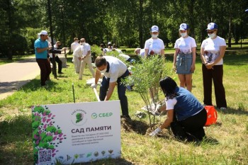 Плакучие ивы посадили в парке Славы в Нижнем Новгороде