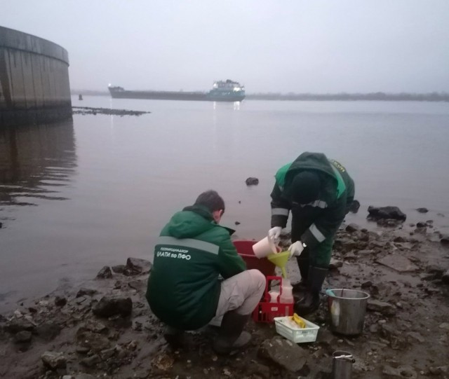 Воду зеленого цвета обнаружили в береговой полосе Волги в Балахнинском районе