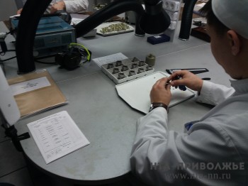 Предприятия Оренбуржья получат господдержку на исследования Предприятия Оренбуржья получат господдержку на исследования