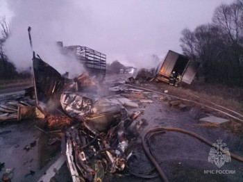 Водители двух грузовиков погибли на М-7 под Лысковом в Нижегородской области 