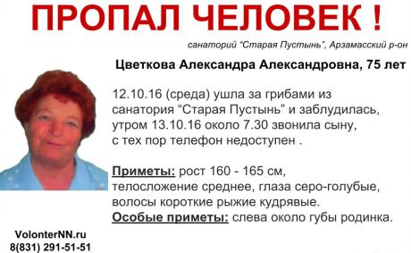 Волонтёры разыскивают пропавшую в лесу Арзамасского района Нижегородской области 75-летнюю Александру Цветкову Волонтёры разыскивают пропавшую в лесу Арзамасского района Нижегородской области 75-летнюю Александру Цветкову