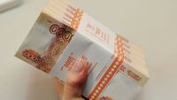 Нижегородская область получит 200 млн. рублей из федбюджета на поддержку мер по обеспечению сбалансированности бюджетов
