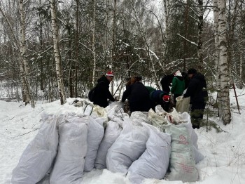 Около 4 000 кубометров мусора вывезли из нижегородских лесов в этом году