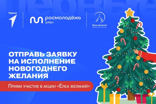 Нижегородцы могут принять участие во Всероссийской акции "Елка желаний"