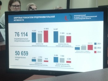 Около 3,5 тыс. компаний создано в Нижегородской области в 2023 году