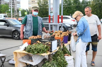 Первая ярмарка со сниженными ценами на овощи &quot;борщевого набора&quot; прошла в Нижегородской области