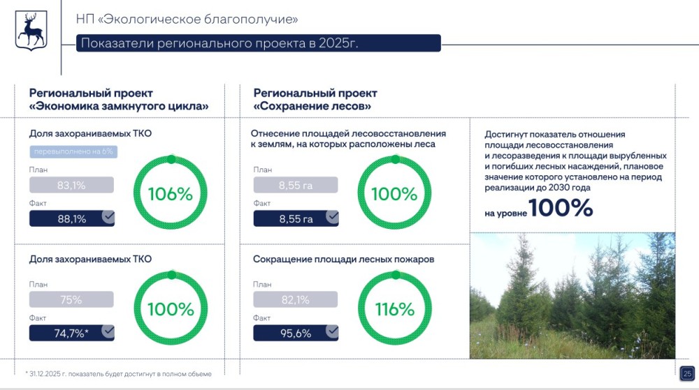 Показатель лесовосстановления в Нижегородской области достиг 100%