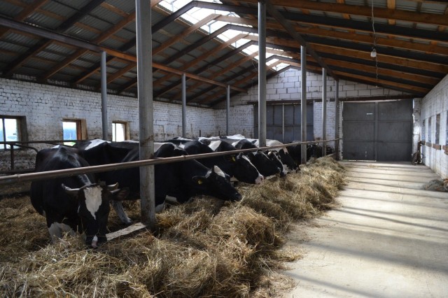 Валовый надой молока в Нижегородской области за семь месяцев 2025 года увеличился на 4 процента Валовый надой молока в Нижегородской области за семь месяцев 2025 года увеличился на 4 процента