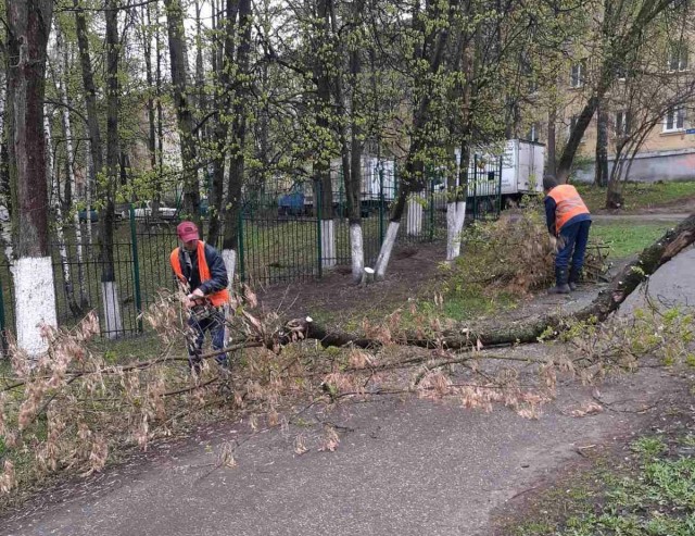 Работа на озелененных территориях идет в рамках месячника по благоустройству в Нижнем Новгороде