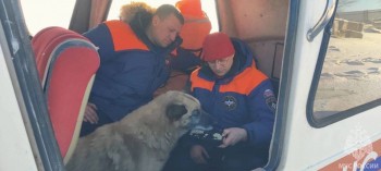 Сотрудники МЧС в Татарстане спасли вмерзшую в лед собаку