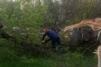 Последствия шквалистого ветра устраняют в Нижнем Новгороде