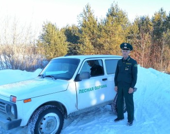 Около 600 патрульных маршрутов утверждено по лесному фонду в Оренбуржье