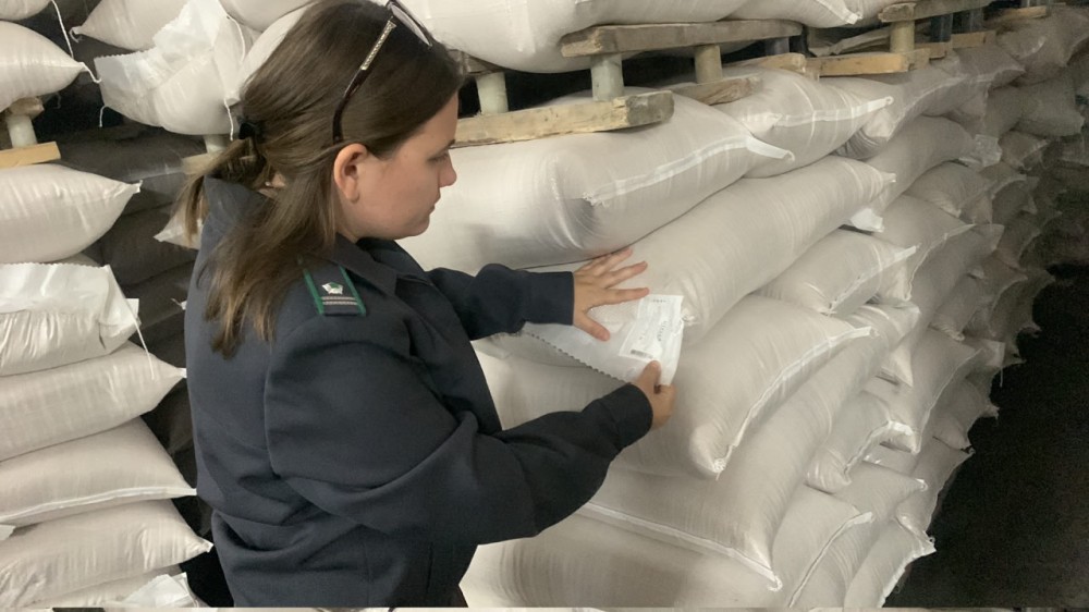 Первую партию пшеничной муки отправили из Чувашии в Армению