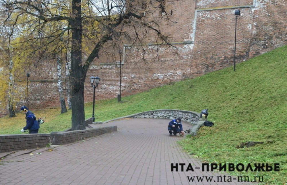 Идею введения шестидневной рабочей недели оценили в Госдуме