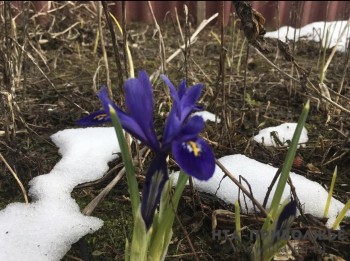 Народные приметы: 13 марта