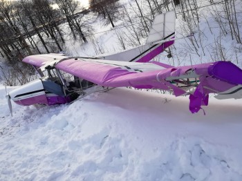 Уголовное дело возбуждено по факту падения легкомоторного самолёта в Марий Эл (ВИДЕО)