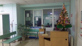 Волонтеры передали новогодние елки в ковидные госпитали Нижегородской области