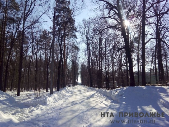 Похолодание до -9 градусов прогнозируется в Нижегородской области к концу недели Похолодание до -9 градусов прогнозируется в Нижегородской области к концу недели