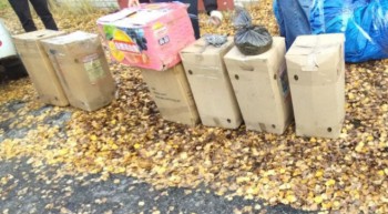 20 кг конопли изъято у жителя Городецкого района