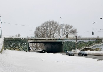 Граффити с крокодилом на Канавинском мосту в Нижнем Новгороде могут заменить