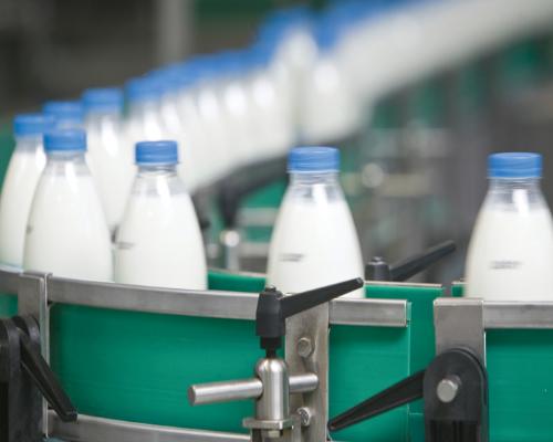 Молокозавод стоимостью 400 млн. рублей планируется построить в Дальнем Константинове Нижегородской области