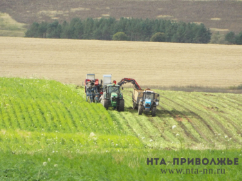 Режим ЧС введен в Кировской области из-за гибели посевов