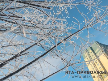 Перерыв между снегопадами прогнозируется в Нижегородской области в середине недели