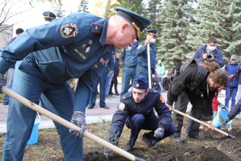 Около 12 тысяч сеянцев высадили в Башкирии на пострадавших от лесных пожаров территориях