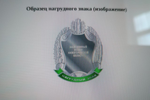 Унификацию материалов и размеров для "Почетных знаков" предложили в ЗС НО