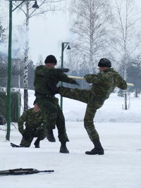 В Н.Новгороде 20 апреля состоится военно-патриотическая акция &quot;День призывника&quot;