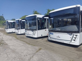 12 новых низкопольных автобусов большой вместимости поставили в Тольятти 12 новых низкопольных автобусов большой вместимости поставили в Тольятти