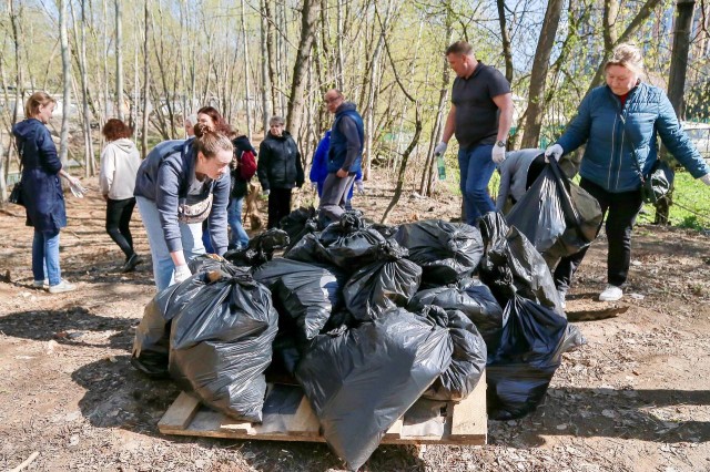 Более 205 тыс. нижегородцев приняли участие в месячнике по благоустройству