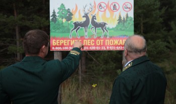 Пожароопасный сезон начался в лесах Нижегородской области