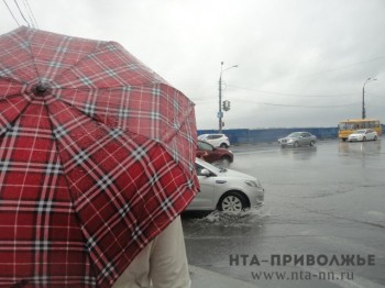 Ливни прогнозируются в Нижегородской области в ближайшие часы 2 июля