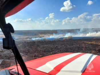 Пять природных пожаров произошло в Чувашии за сутки