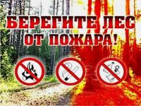 В Нижегородской области с 29 апреля вводится особый противопожарный режим