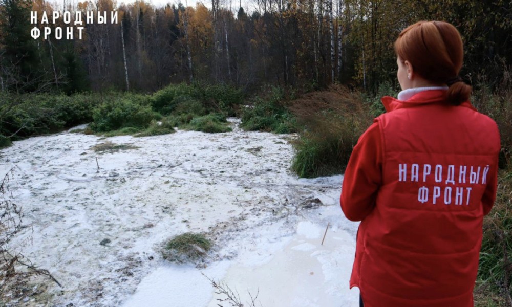 Нефтепродукты и железо обнаружили в "кисломолочном" болоте под Котельничем