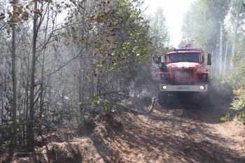 Глеб Никитин доложил президенту о ситуации с природными пожарами в Нижегородской области