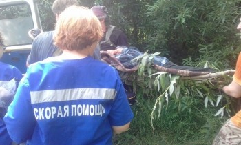 Волонтёрам удалось разыскать пропавшего в лесу Сормовского района Нижнего Новгорода пенсионера