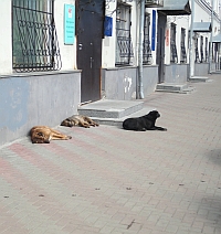 В Нижегородской области в ближайшие дни ожидается теплая облачная погода

