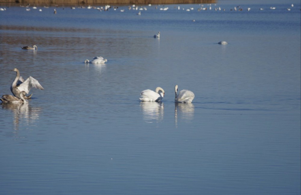 Фото: Ирина Сабирова.