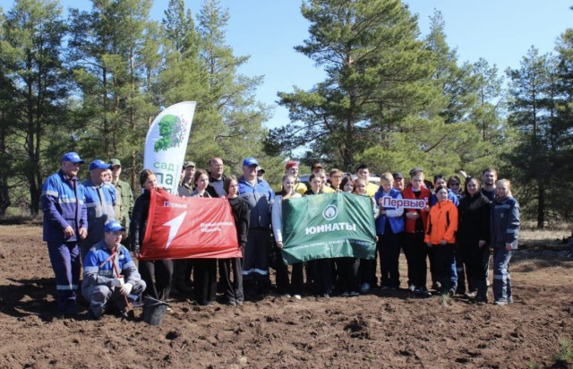  "Тополь Победы" высадят в Оренбурге 7 мая