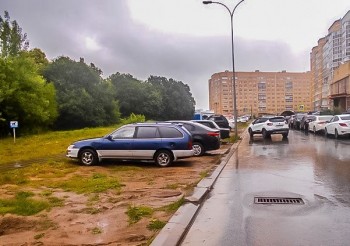 "За парковку на озелененных территориях в Чебоксарах будут штрафовать", - Алексей Ладыков