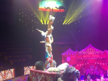 Гия Эрадзе презентовал в Нижегородском цирке своё шоу &quot;5 континентов&quot;