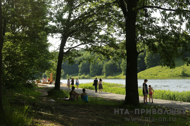 Парки Нижнего Новгорода обработают от клещей до 31 мая