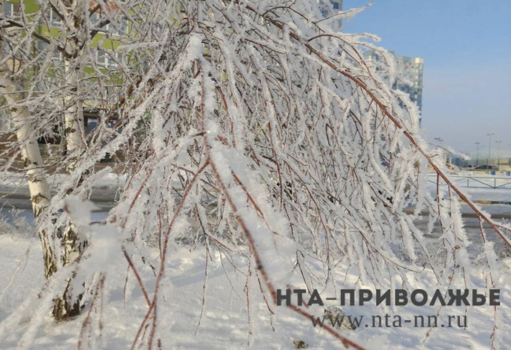 Народные приметы: 16 декабря