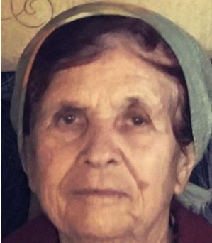 Волонтеры ищут 83-летнюю Раису Лагунову, пропавшую в Выксунском районе Нижегородской области