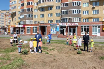 &quot;Аллею выпускников&quot; высадили в Чебоксарах