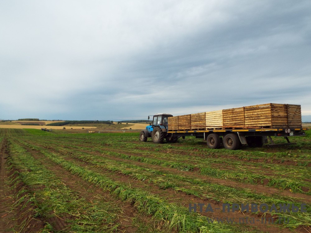 Чувашия в 2025 году экспортировала около 25,2 тыс. т. аграрной продукции