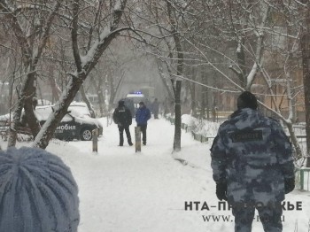 Подозреваемый в хранении гранаты в подвале дома нижегородец помещён в психиатрический стационар